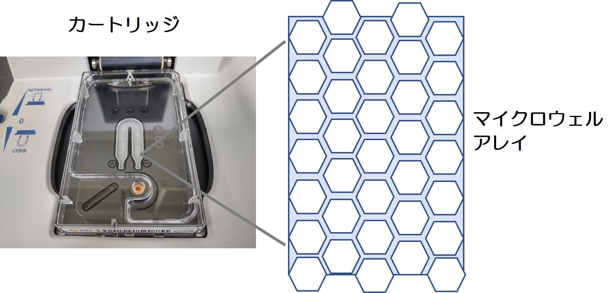 single cell Rhapsody cartridge photo