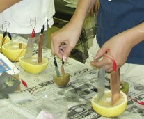 photo1-2b