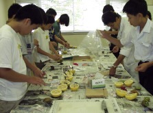 photo1-3