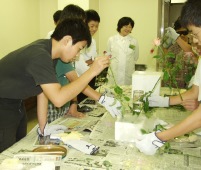 photo2-5a