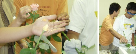 photo2-5b