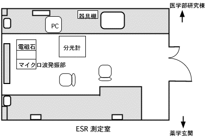 layout