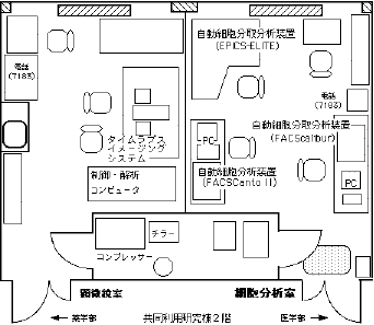 layout 1