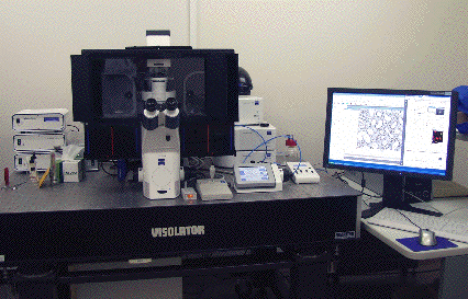 photo of Cell Observer